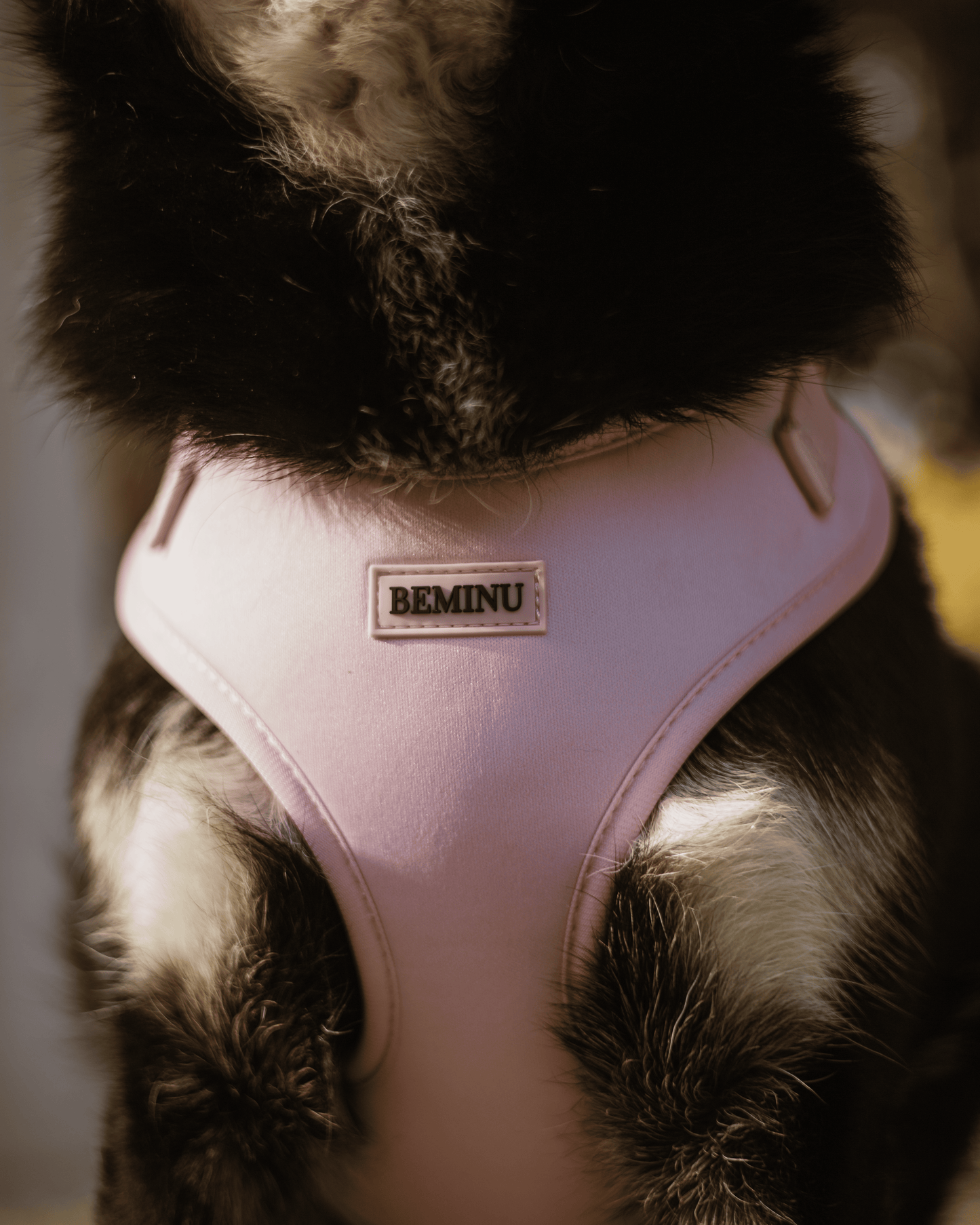 Peitoral Candy Blush