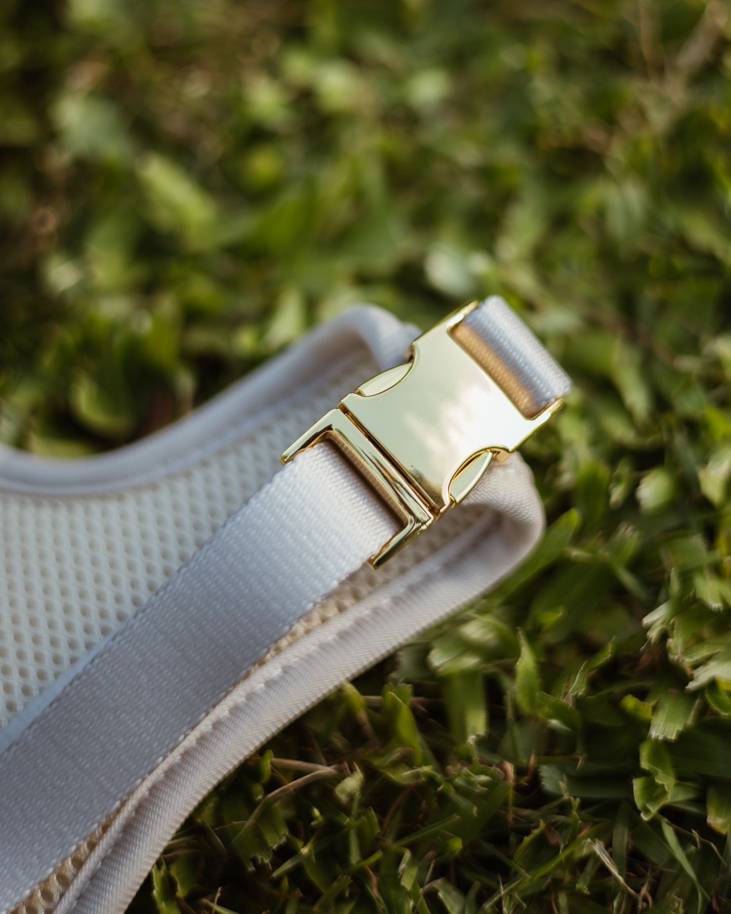 Peitoral Vanilla Whip