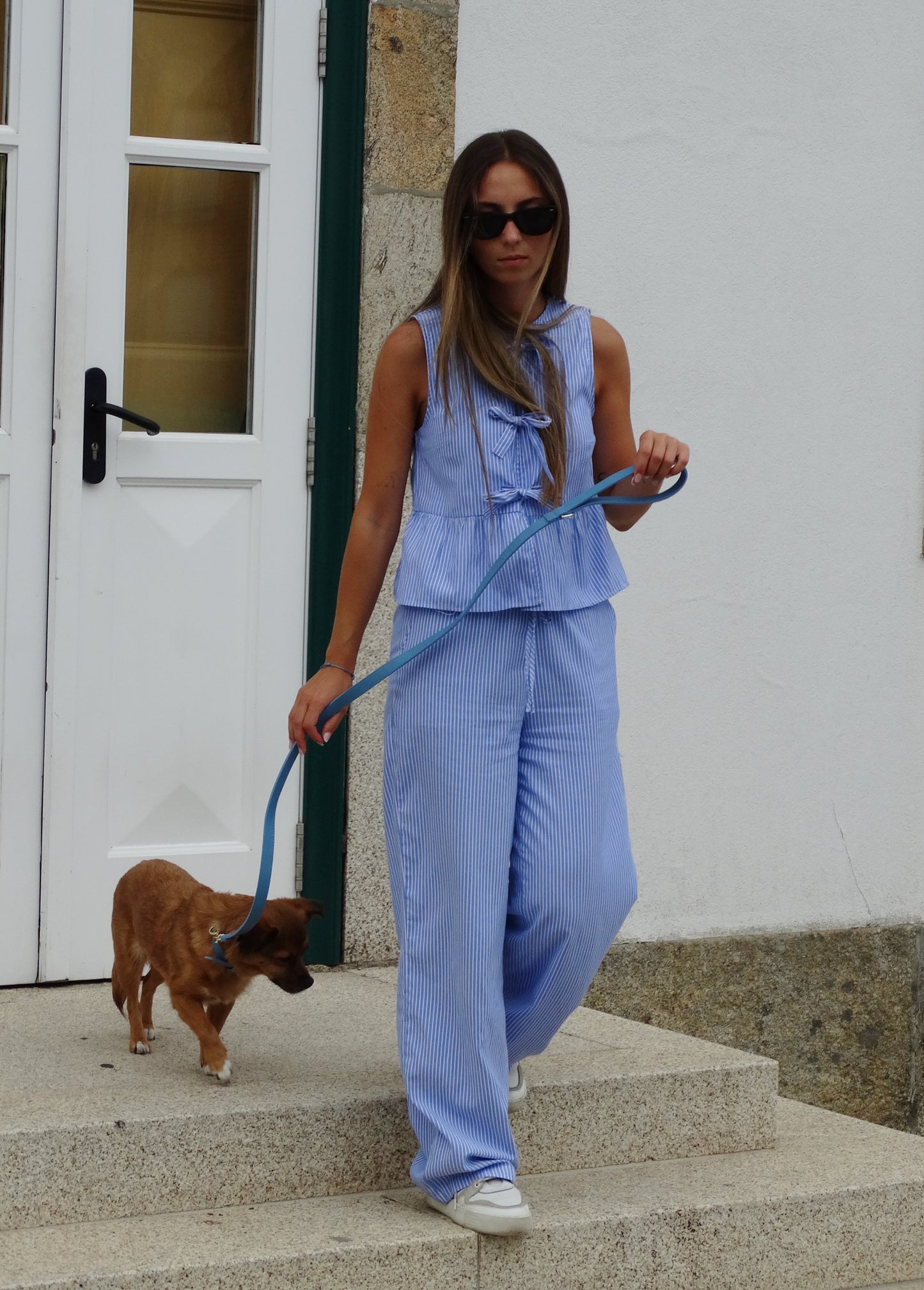 Baby Blue Leash