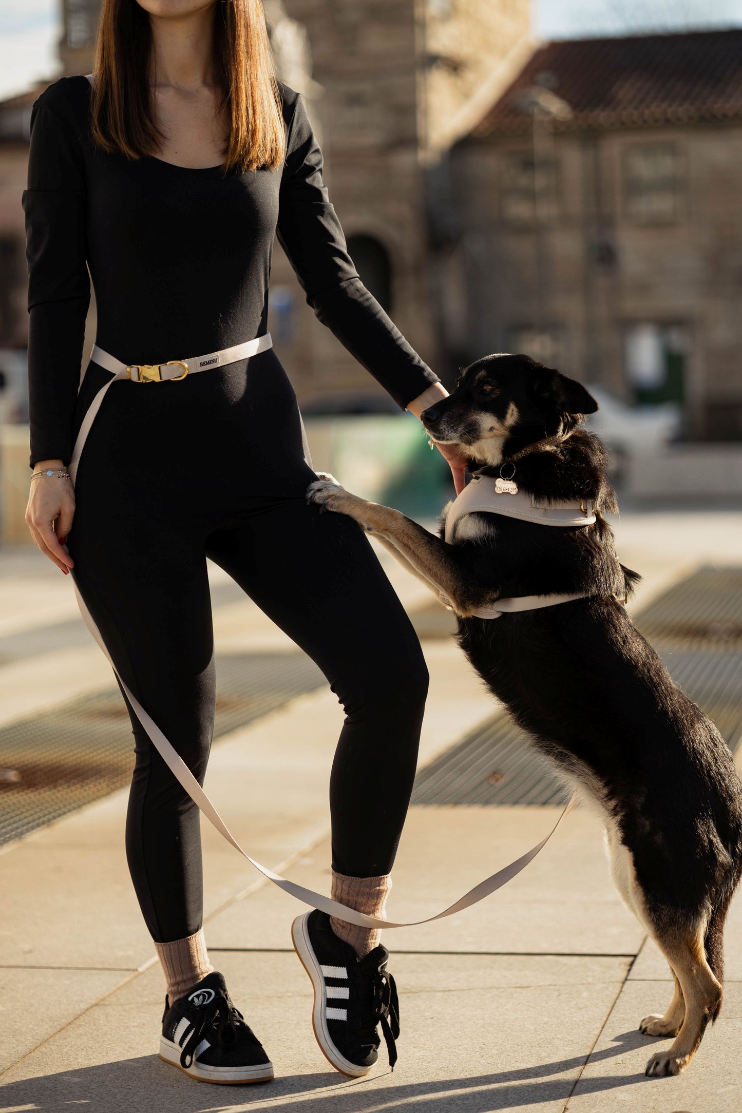 Trela mãos-livres Vanilla Whip