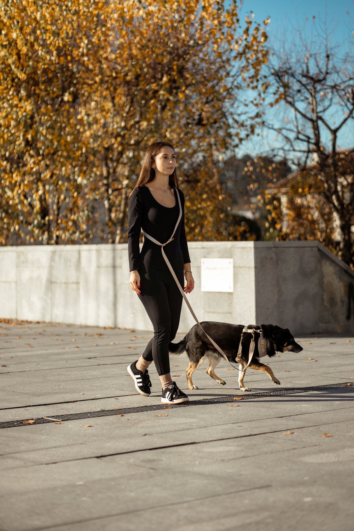 Trela mãos-livres Vanilla Whip