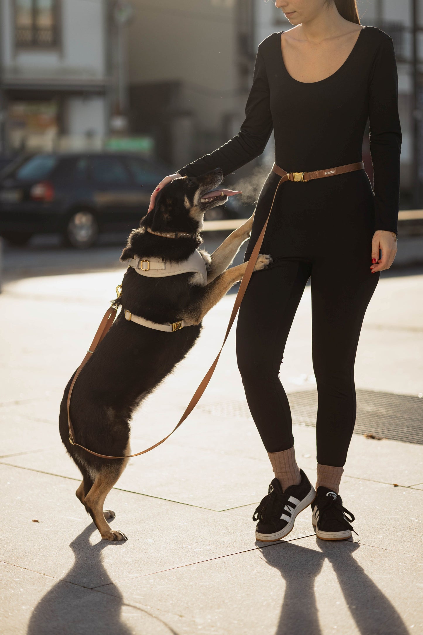 Trela mãos-livres Chocolate Brown