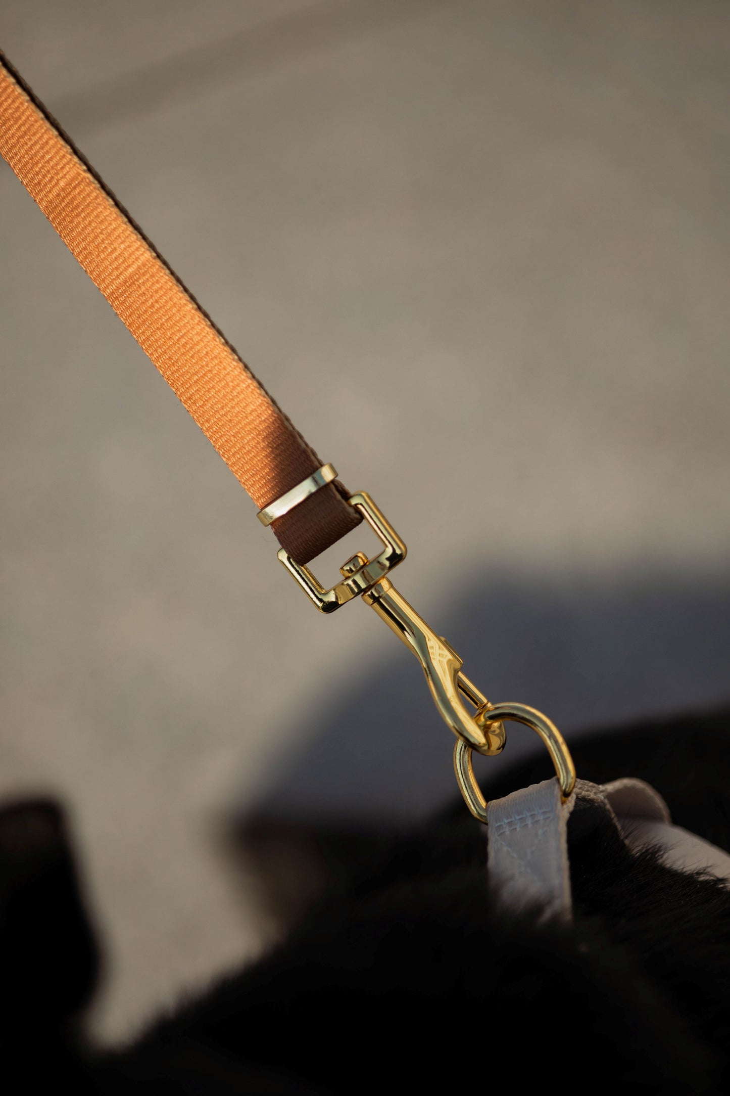 Trela mãos-livres Chocolate Brown