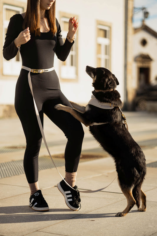 Trela mãos-livres Vanilla Whip