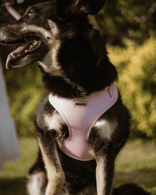 Peitoral Candy Blush