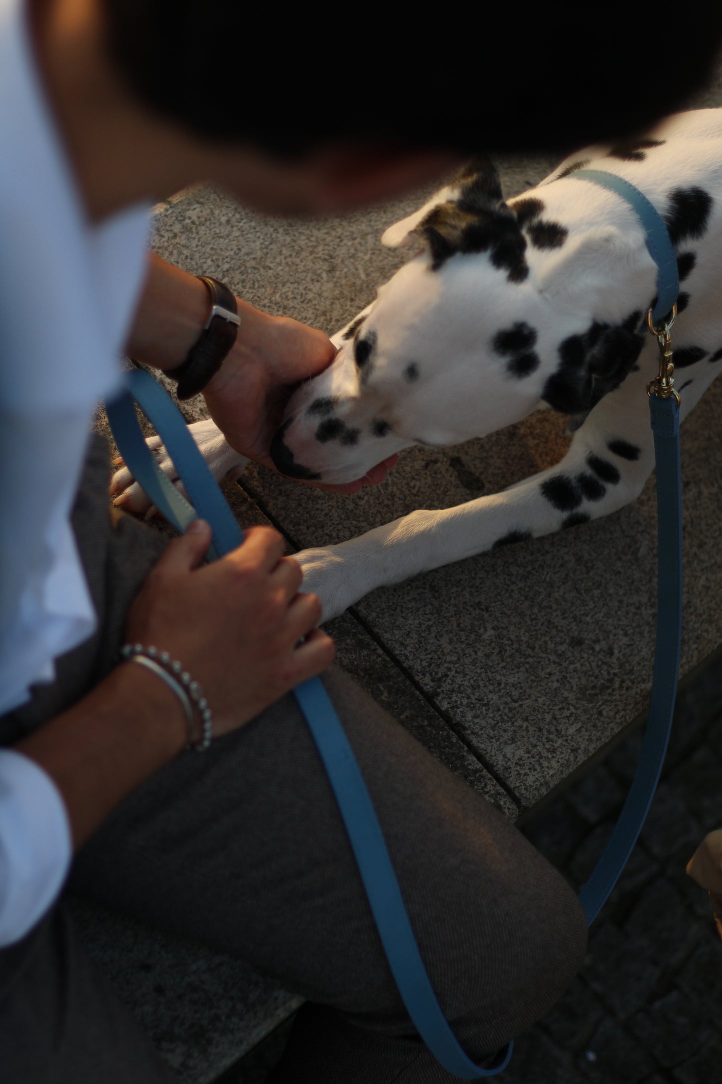 Baby Blue Leash