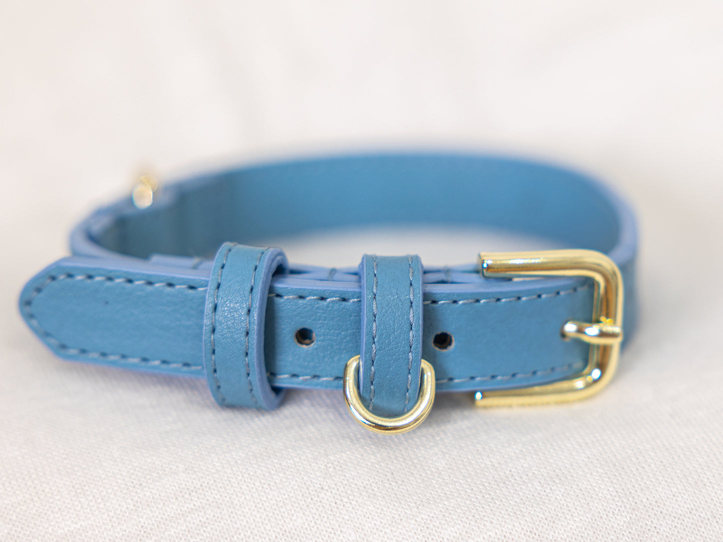 Baby Blue Collar