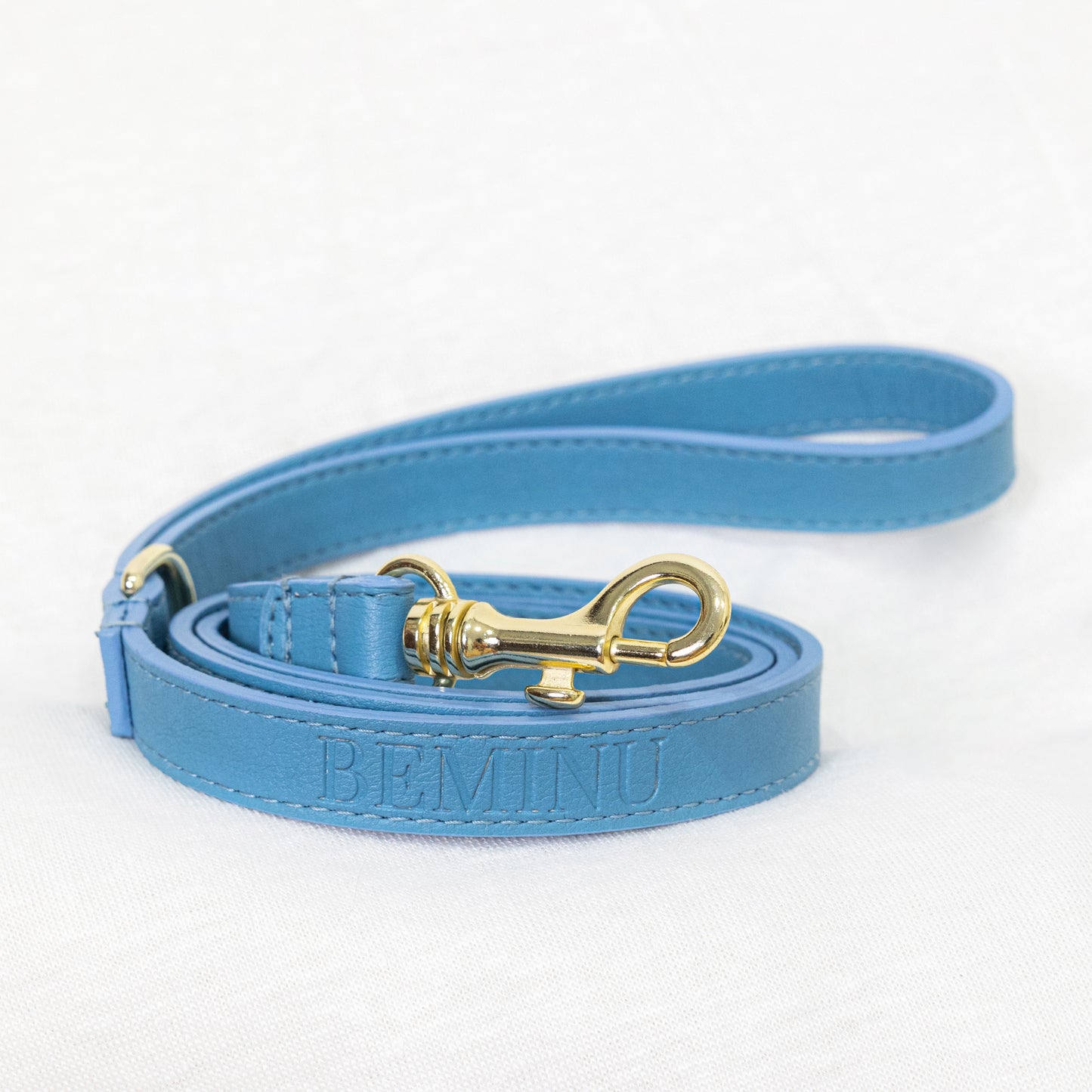 Baby Blue Leash