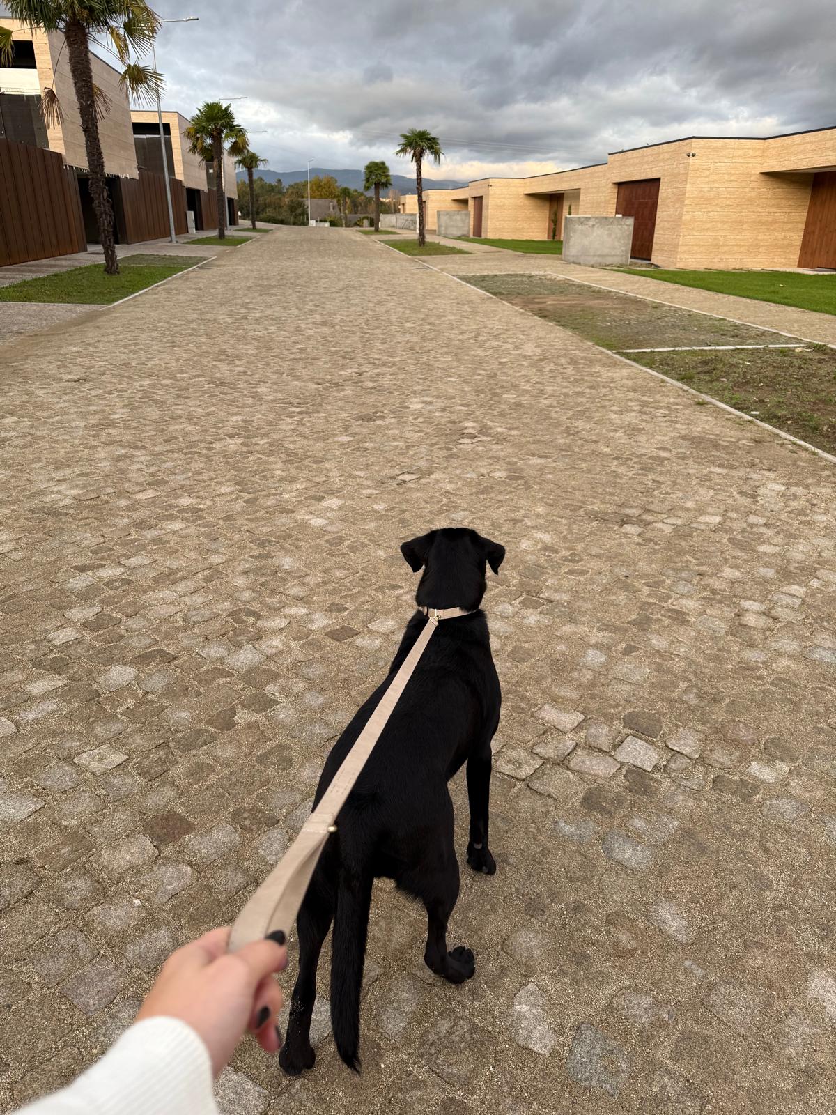 Crème Leash